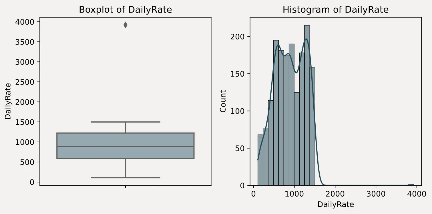 visualize_outliers_DailyRate